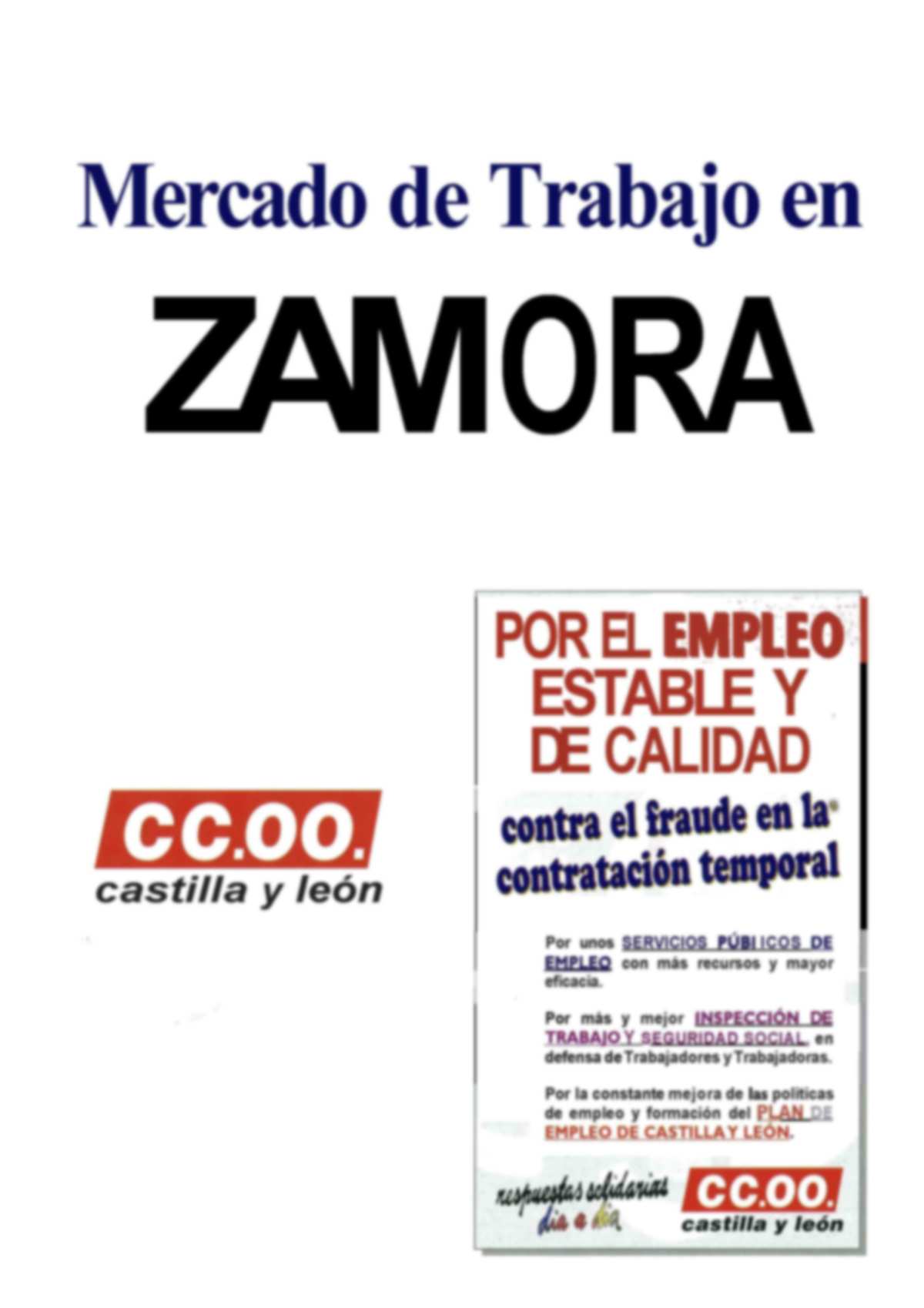 En estos informes de las 9 provincias que componen la Comunidad de Castilla y Len, se analizan las principales magnitudes del mercado laboral en la provincias durante el ao 2005: Actividad, Ocupaci